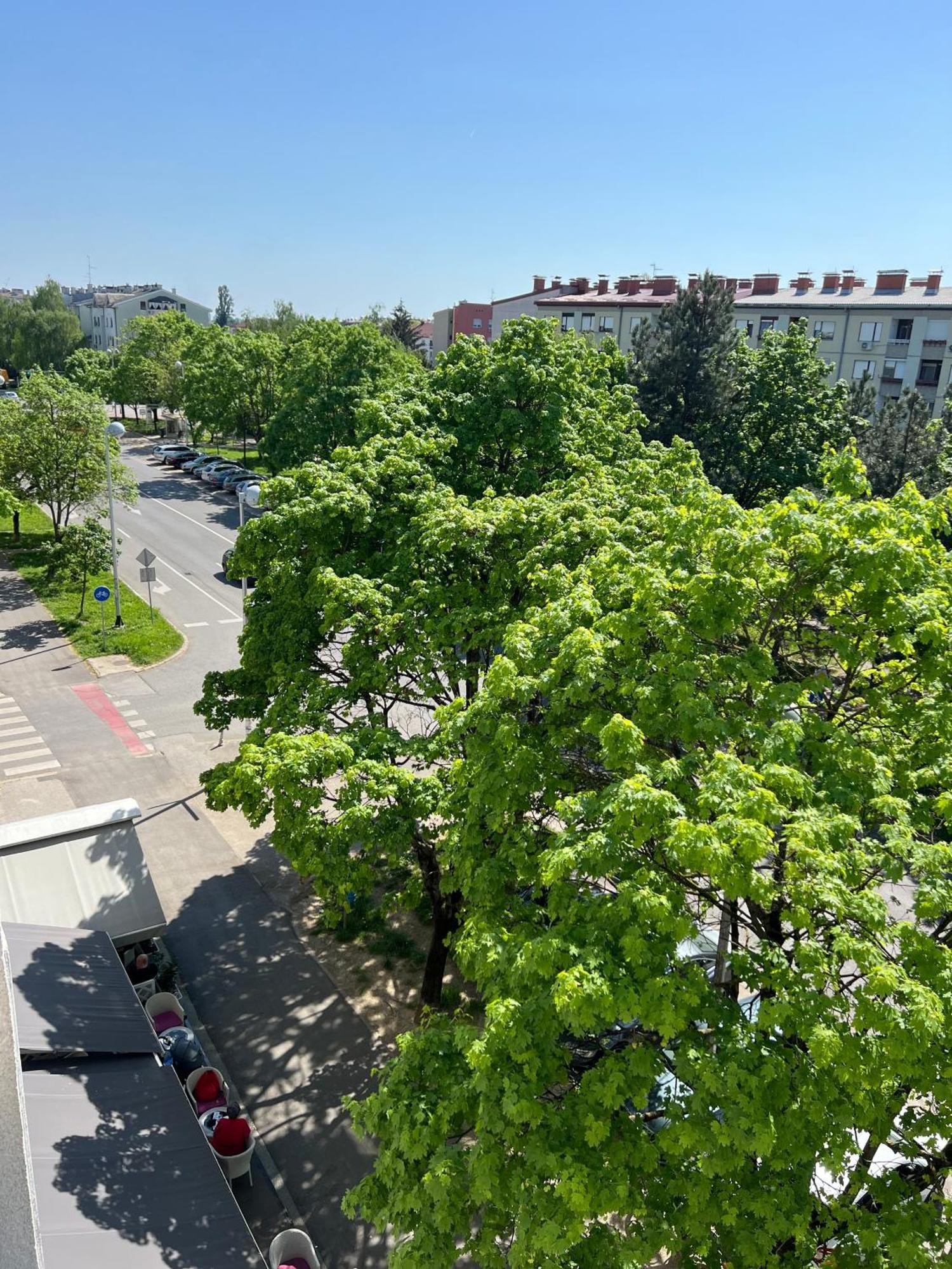 Rita Apartment-Free Parking&Wifi Zagreb Bagian luar foto
